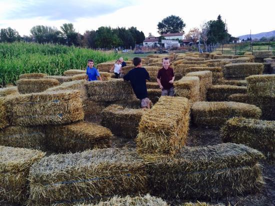 Swore Farms