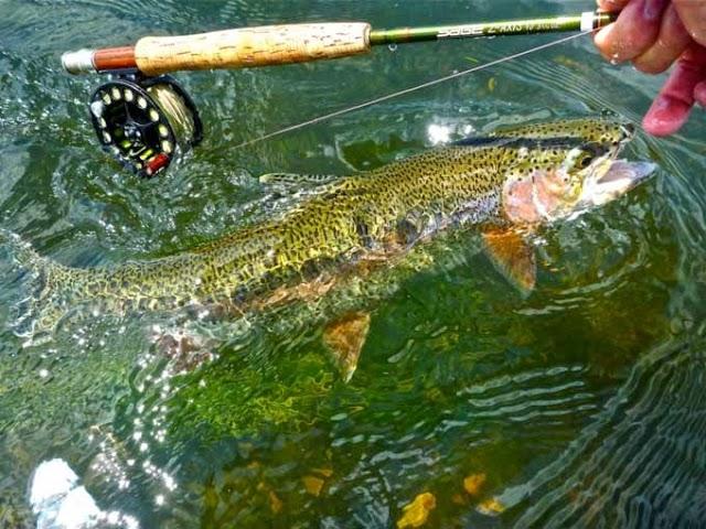 Angler's Lodge