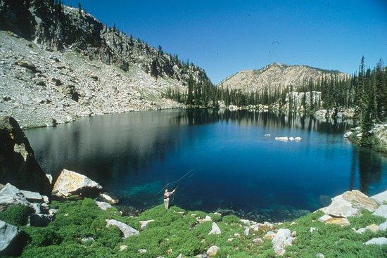 Allred's Adventures Sawtooth Wilderness Outfitters