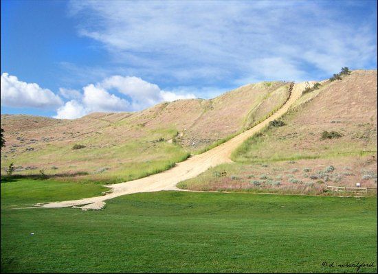 Camel's Back Park