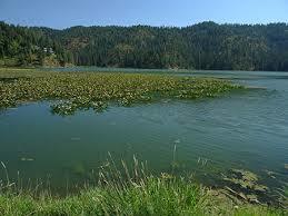 Fernan Lake